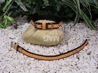 obojek oranžová kopretina,š.2,5cm