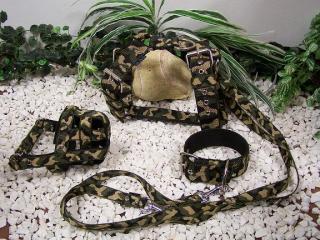 army green komplet