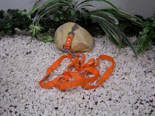 vodítko přepínací oranžové ST,š.2,5cm,d.2,5m
