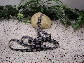 vodítko přepínací šedočerné packy,š.2,5cm,d.2,5m