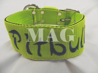 obojek Pitbull, š4cm, zelená+