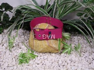 obojek růžový-M, š.5cm