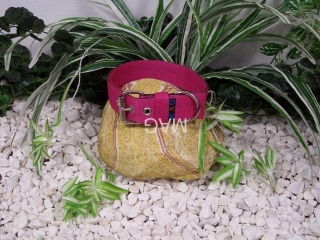 obojek růžový-M, š.4cm