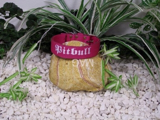 Pitbull,růžová+bílá,š.4cm