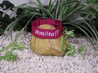 Amstaff,růžová+bílá,š.5cm