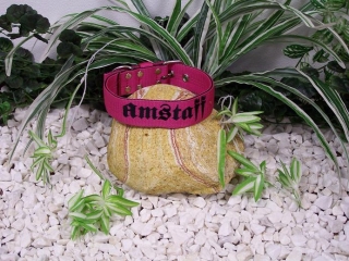 Amstaff,růžová+černá,š.4cm