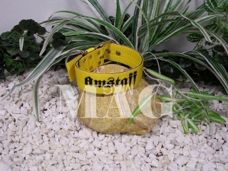obojky Amstaff,žl+černá,š.5cm