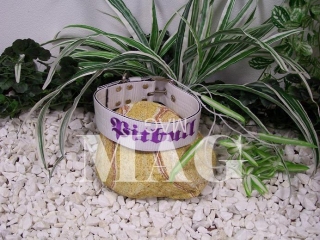 obojky Pitbull,bílá+fialová,š.5cm,