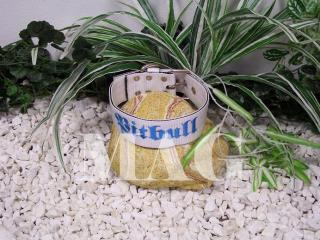 obojky Pitbull,bílá+tyrkys,š.5cm
