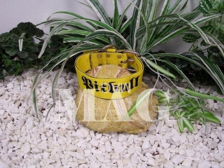 obojky Pitbull,žlutá+černá,š.4cm