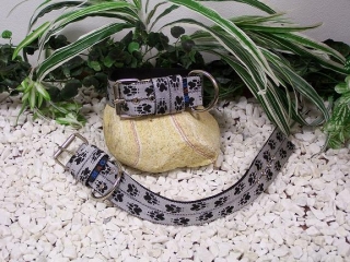 obojek šedý+černé packy,š.5cm