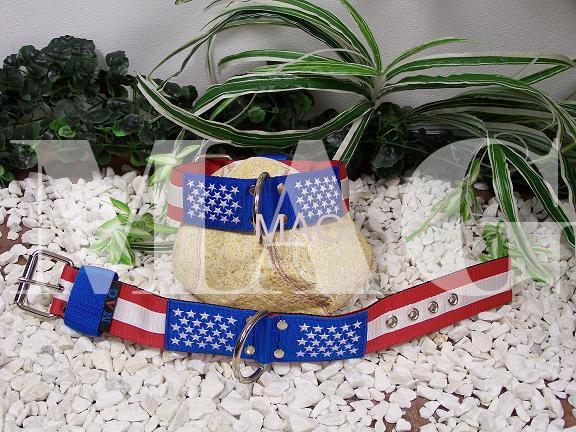 Americká edice, U.S. edition