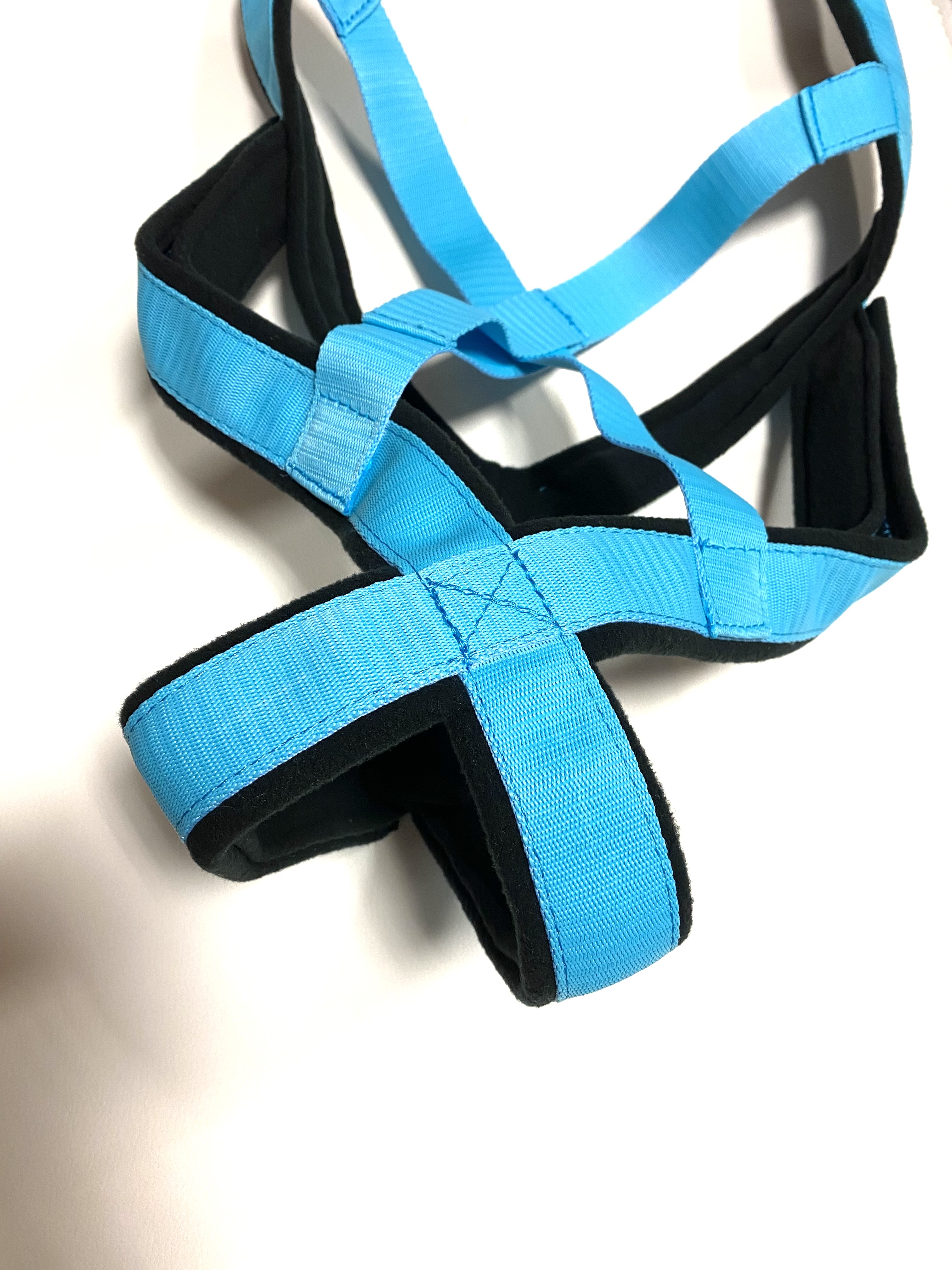 wp postroj štěněcí š.2,5cm