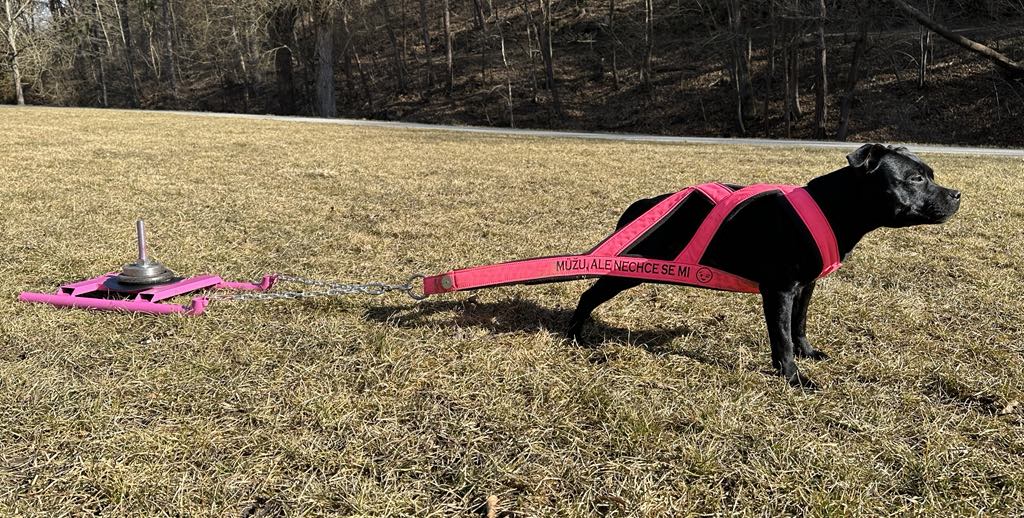 sáňky na drag pull