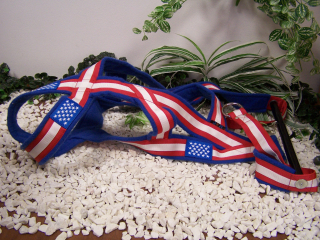 USA edice WP postroj š.4cm