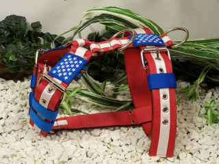 USA edice postroj stavitelný š.4cm