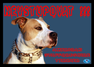 výstražná cedulka č.12