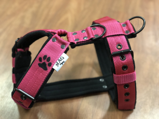 Postroj stavitelný 4cm+ výšivka+softshel - černé kování 