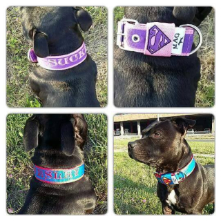 Obojek Batmann š.4cm s výšivkou